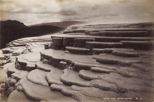 Kaffekopper, hvid terrasse, januar 1885 (albumin print) af George Dobson Valentine